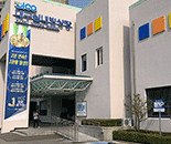 �뱸�ǳ������� ����