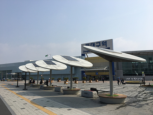 청경수